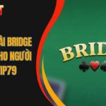 Cách đánh bài Bridge